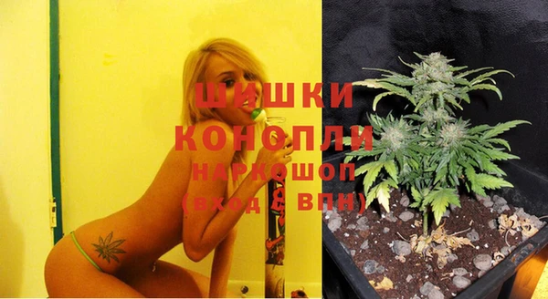 бутират Баксан