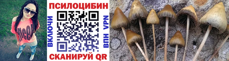 Галлюциногенные грибы GOLDEN TEACHER  Лаишево 