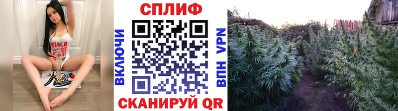 нарко площадка наркотические препараты  Лаишево  Канабис гибрид 